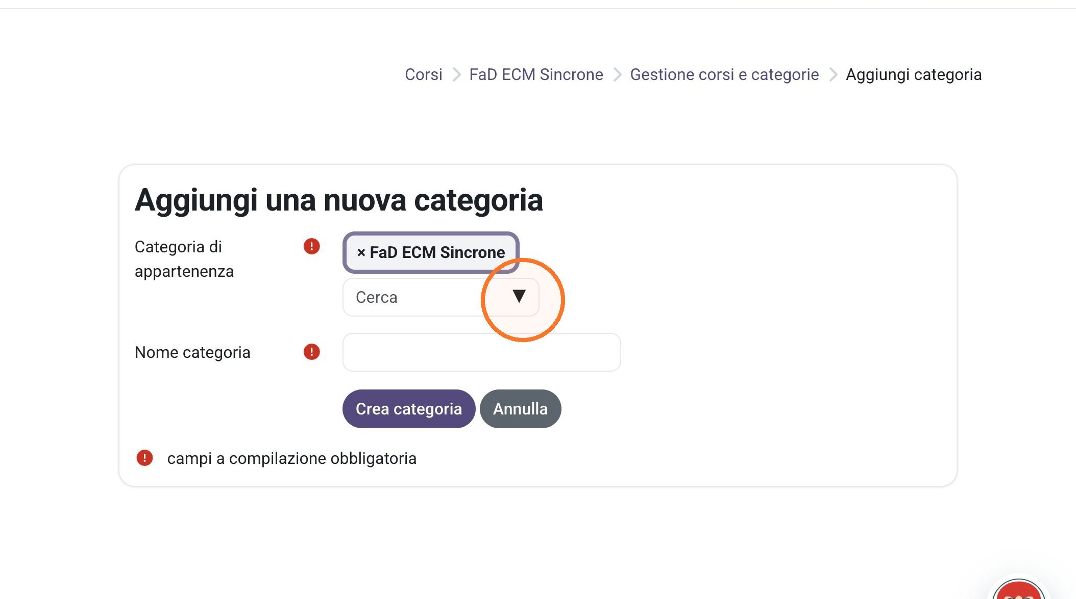Step 5
